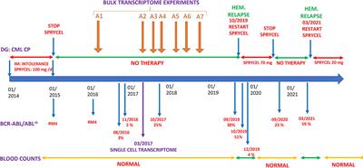 Case report: Long-term voluntary Tyrosine Kinase Inhibitor (TKI) discontinuation in chronic myeloid leukemia (CML): Molecular evidence of an immune surveillance
